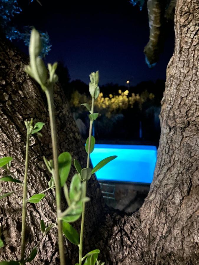 Casa vacanze Monte Da Caldeirinha